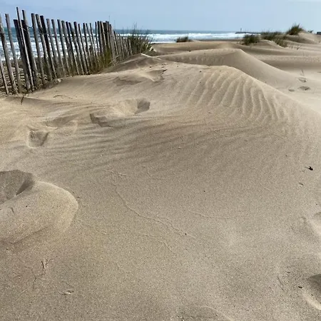 Lägenhet Cap D'agde Suit'appart T1 Pinede 26 M2 Balcon 10 M2 *