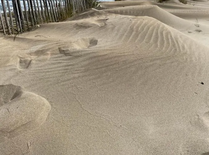 아파트 Cap D'agde Suit'appart T1 Pinede 26 M2 Balcon 10 M2 *